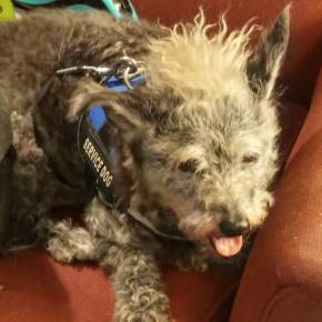 A Weekend Run with Shane Rhyne (Somerville, AL &&nbsp;Nashville)